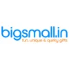 Bigsmall.in logo
